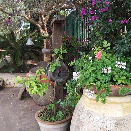 Il Casale Del Cortonese Apartment Sassari Bagian luar foto