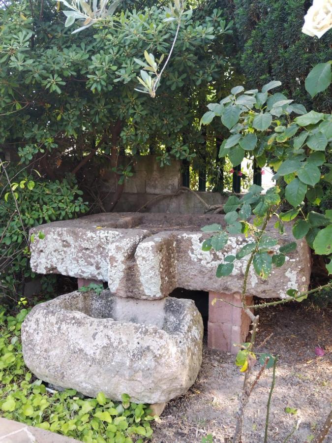 Il Casale Del Cortonese Apartment Sassari Bagian luar foto